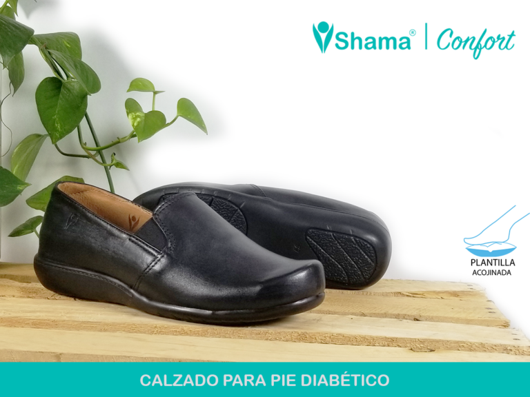 187772305 3751968911598408 4905731161617209418 n 768x576