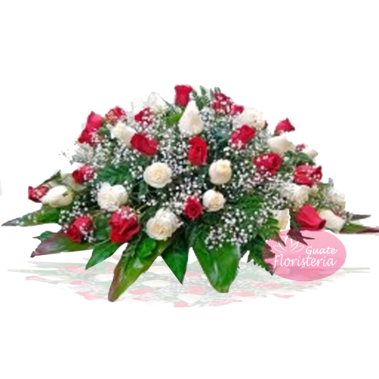 283787255 426265766169104 6451779993360810293 n 768x768