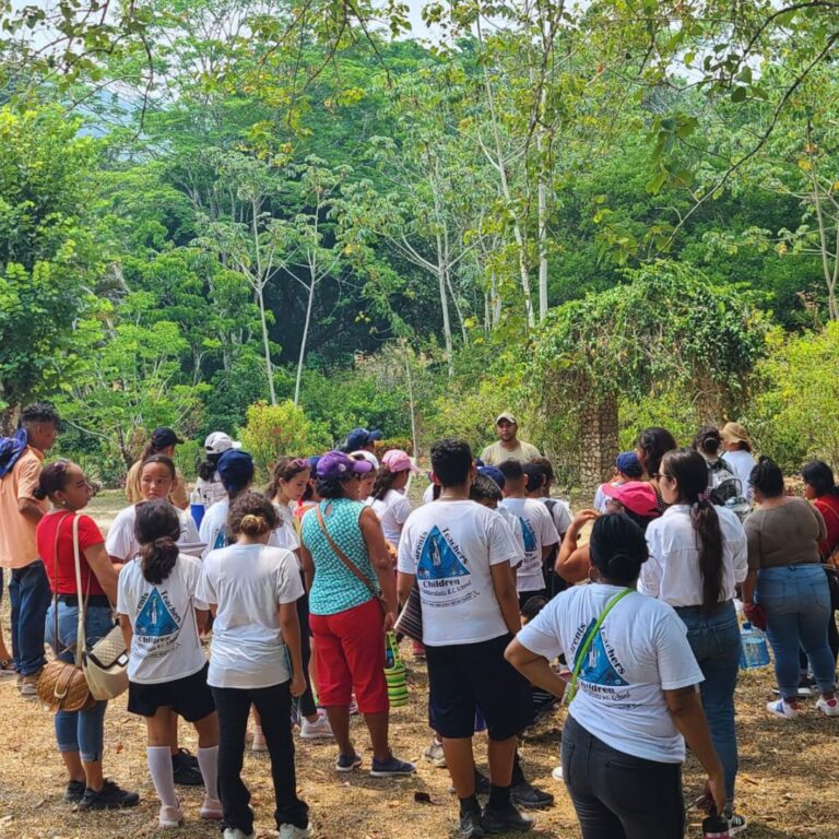 348675556 284457987346258 3258479443270586054 n 768x768