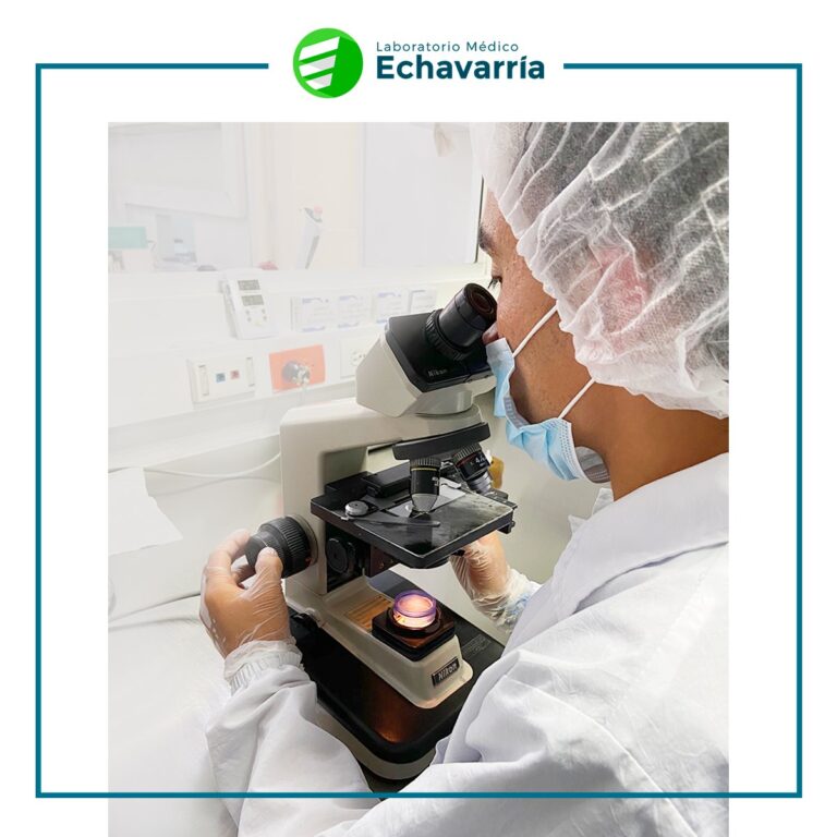 Laboratorio Medico Echavarria 768x768