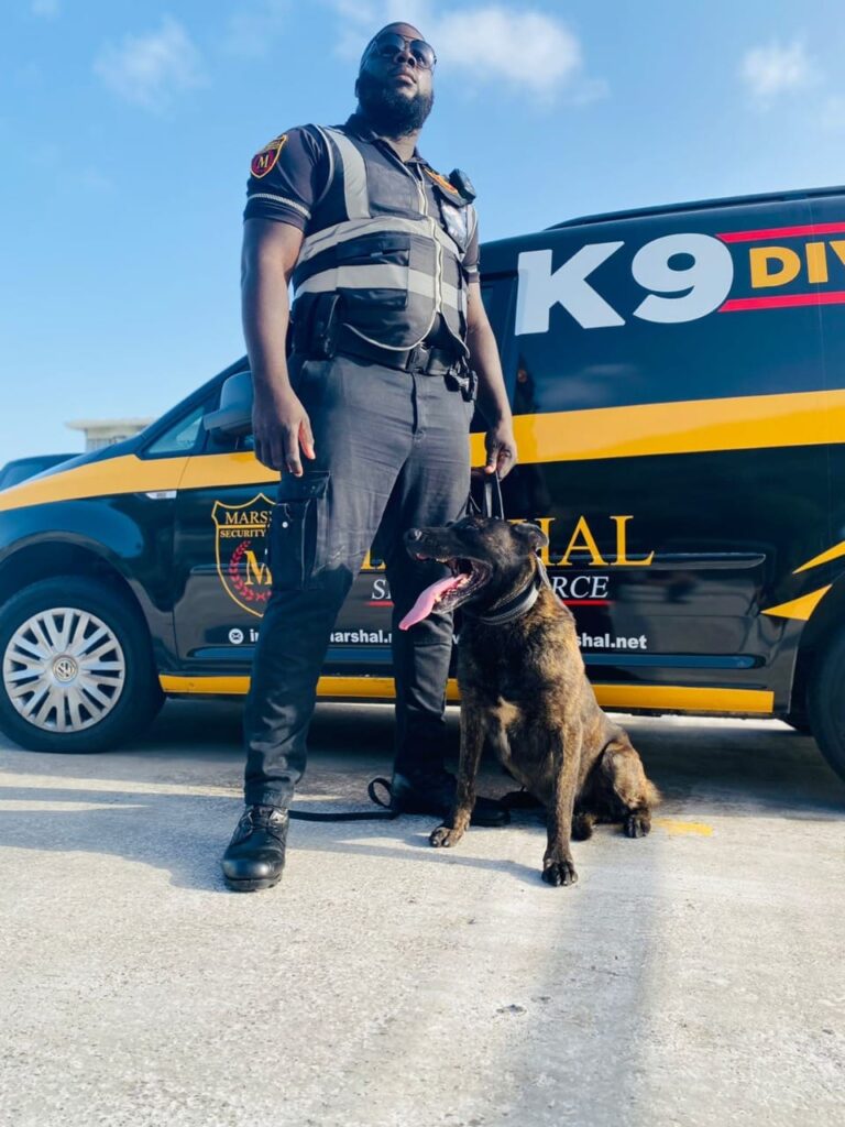 security mar 768x1024