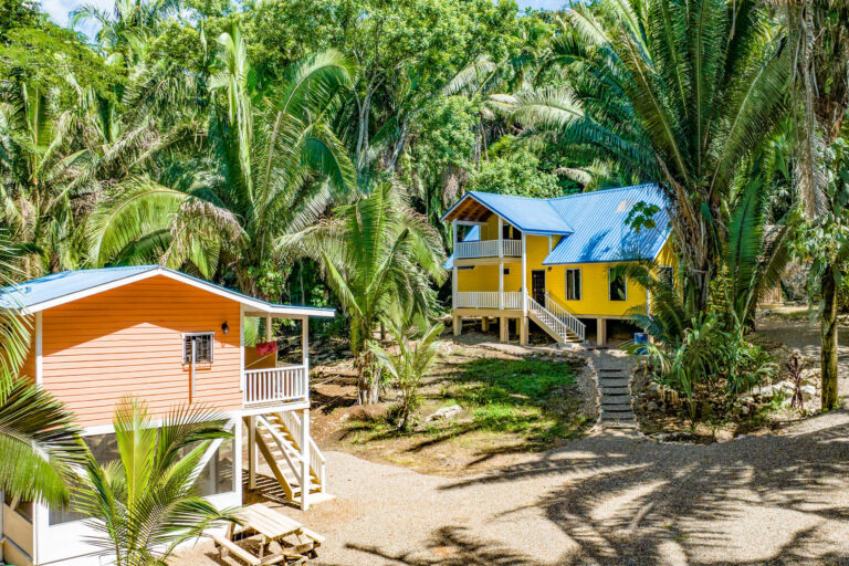 vista real state 768x512