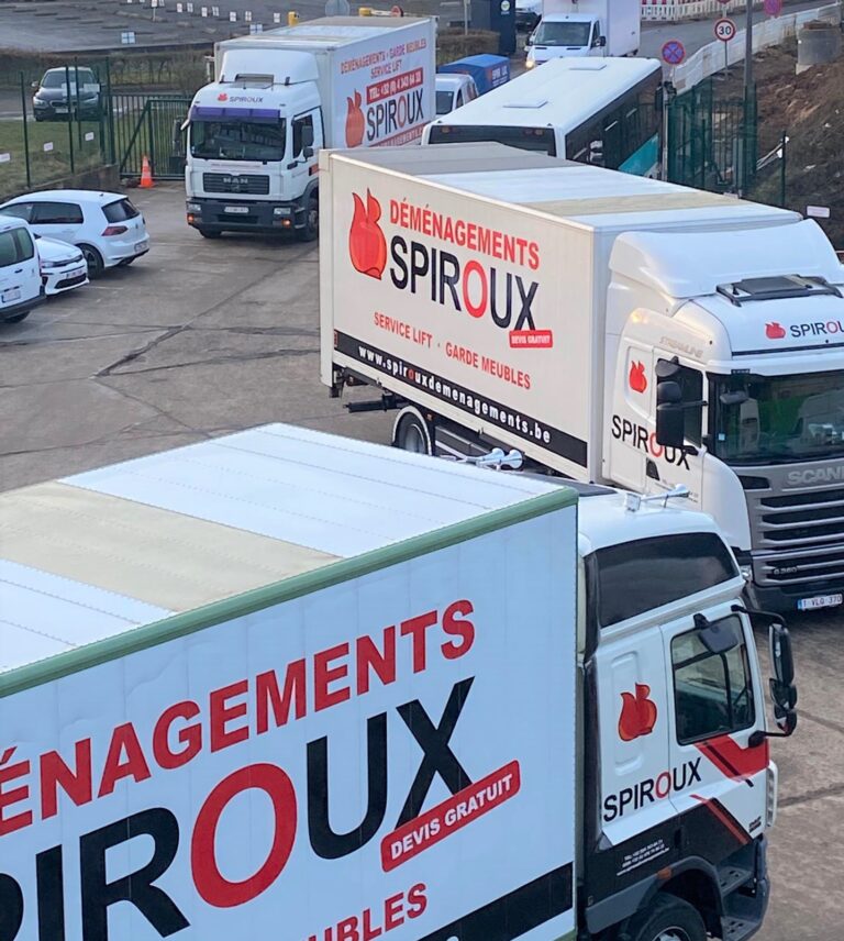 166935575 4170011703018698 3003489275928597286 n 768x856