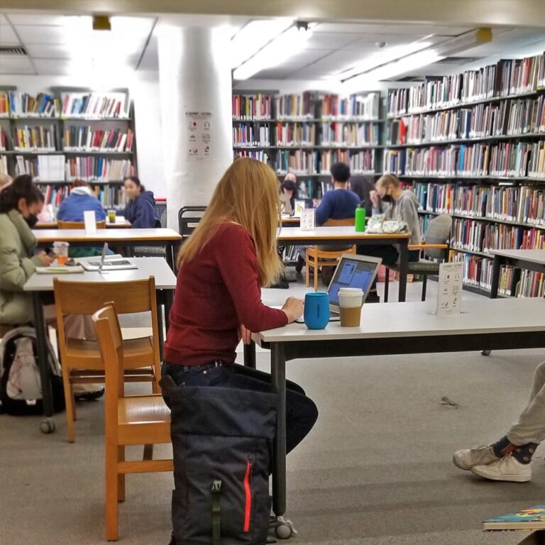 256384682 4581298905265414 5106559339020170654 n 768x768