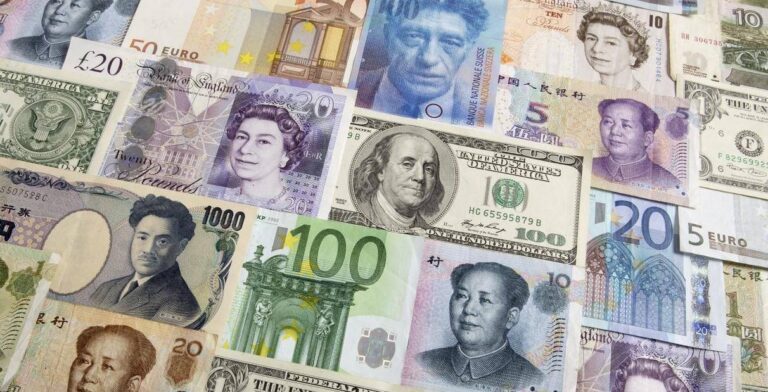 27021099 2043556019220305 6429797331090196745 o 768x392