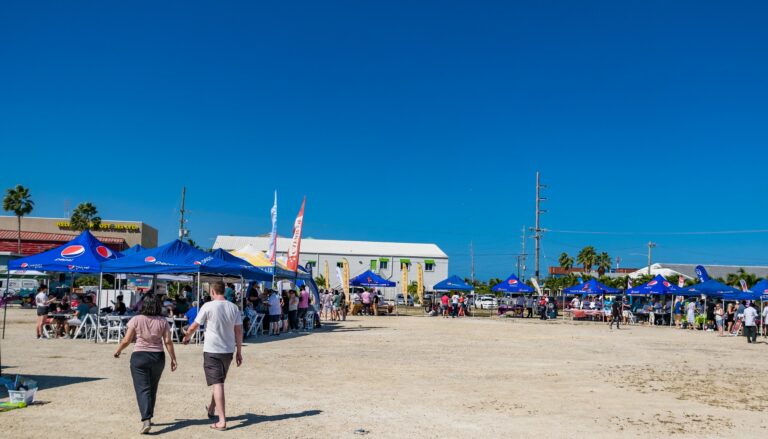 334781649 737766321059275 8686797920182000356 n 768x439