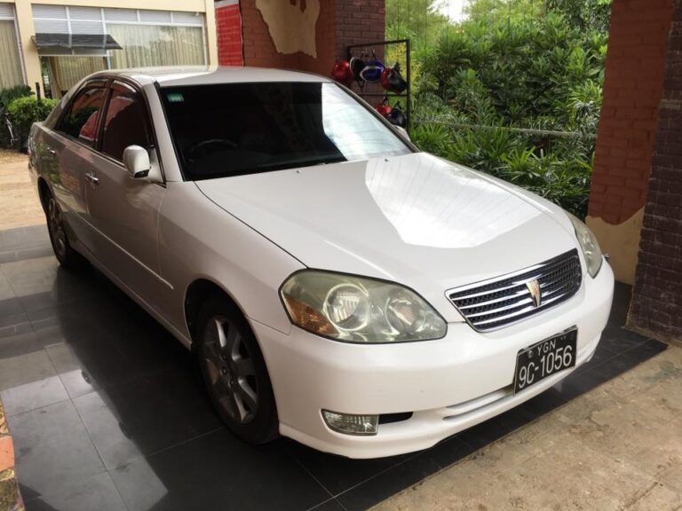 Comfort Private Transport Tours 768x576