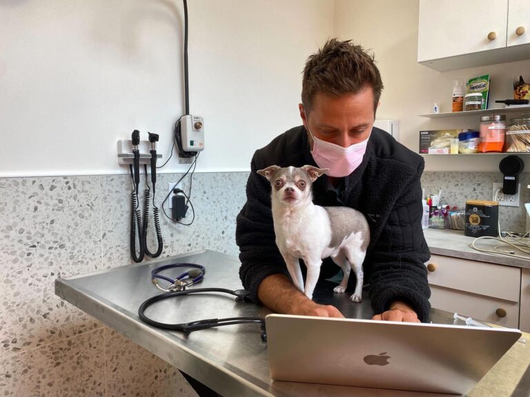 veterinaire de pointe 768x576