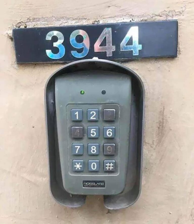 119888606 2679939352261234 2058826403283812450 n 768x888