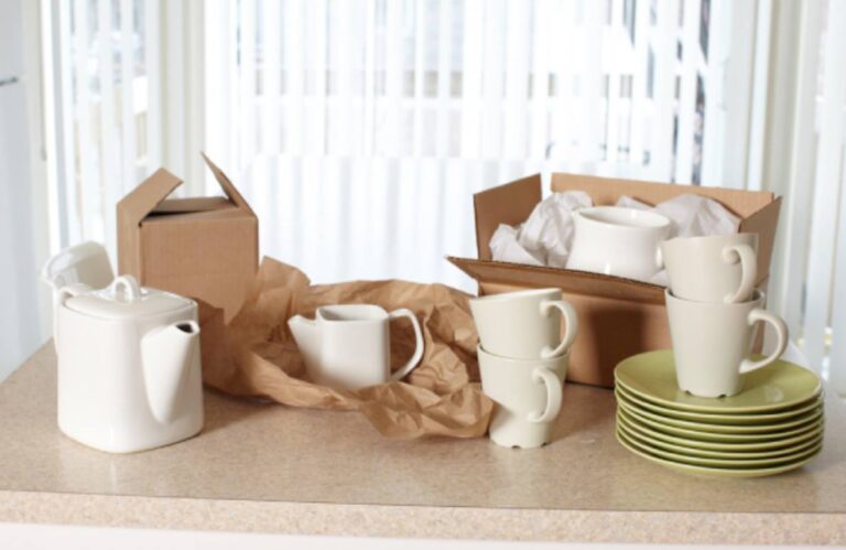 13063045 684676885008541 3801432449454573786 o 768x499