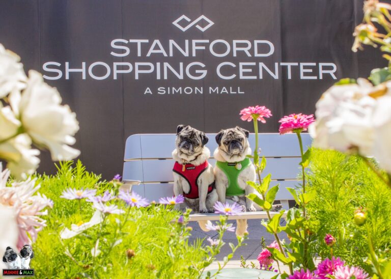 13925601 941800139263712 7983858216462854660 o 768x548