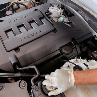 275941986 808244440569475 9093033649958532558 n