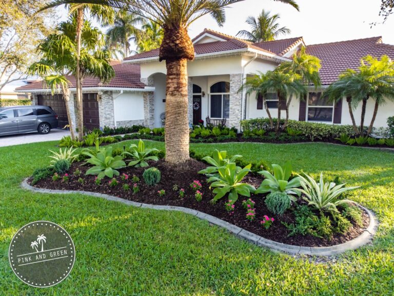 317087439 471235548451336 5332914572133378069 n 768x576