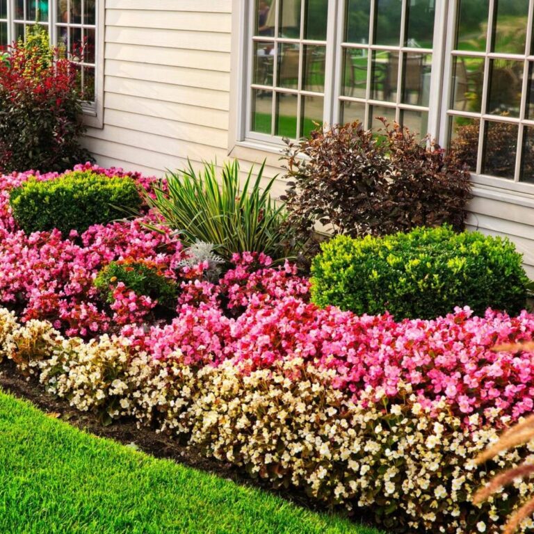 67795180 2377827715873407 7806454453229322240 n 768x768